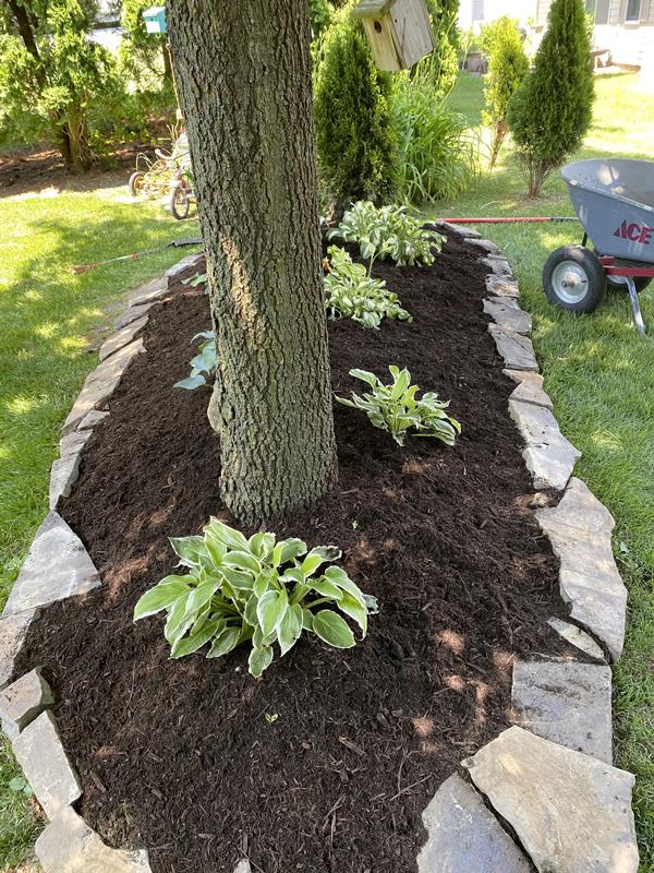 Elm City Lawn LLC Princeton, IL